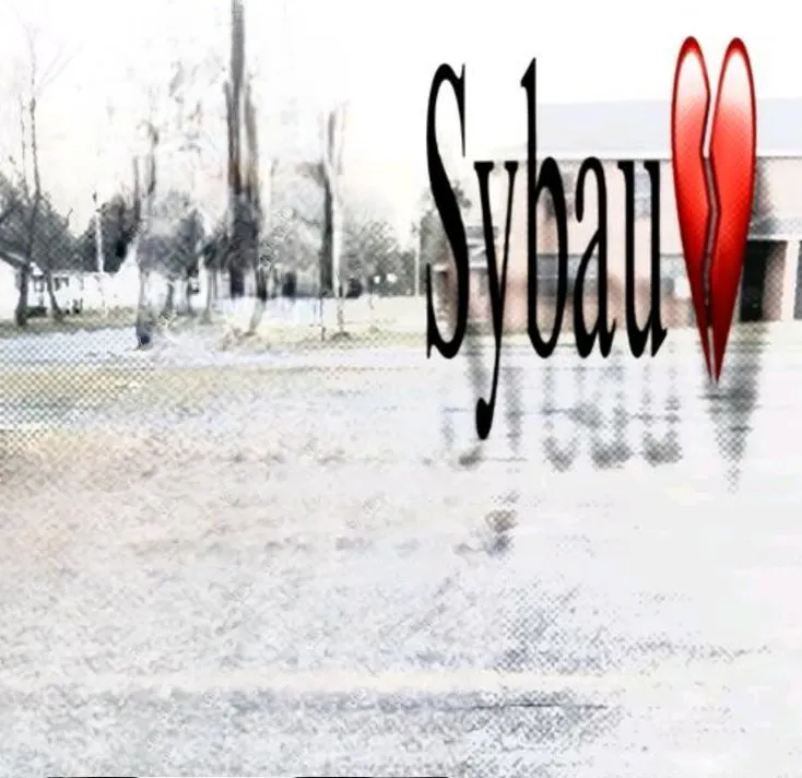Sybau empty